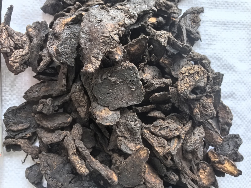 生地黄中药材生地黄新货东弘药业一手货源现货供应