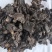 生地黄中药材生地黄新货东弘药业一手货源现货供应