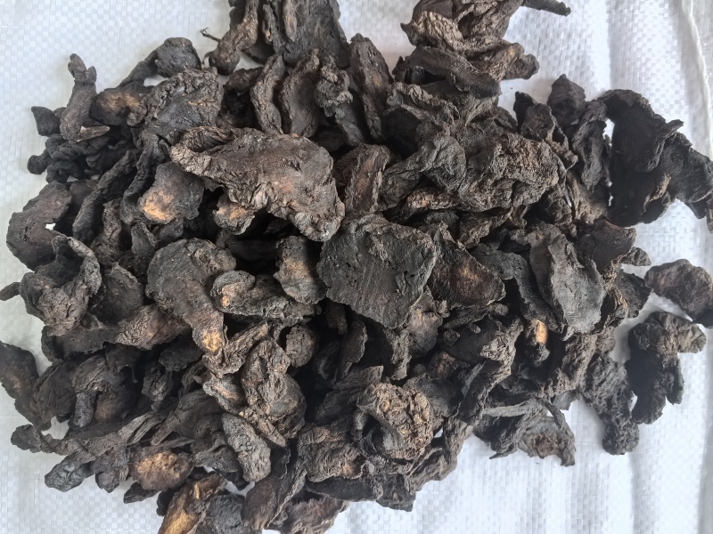 生地黄中药材生地黄新货东弘药业一手货源现货供应