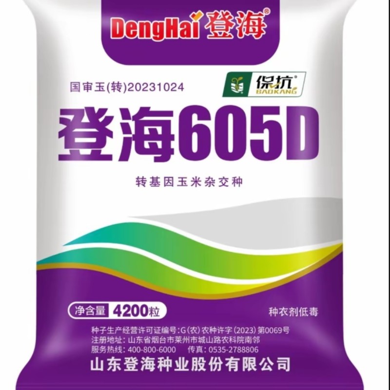 登海605D国审转基因抗草甘膦抗虫4200粒/袋