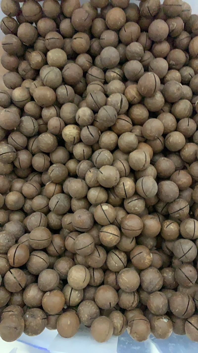 夏威夷果工厂直发可一件代发