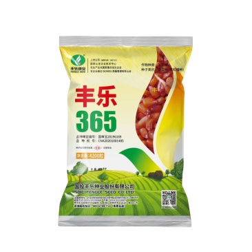 丰乐365玉米种子国审白轴大棒产量高4200粒/袋