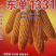东单1331国审玉米种子抗虫抗倒伏4218粒/袋