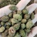 野西瓜冷背中药材2斤起包邮量大优惠