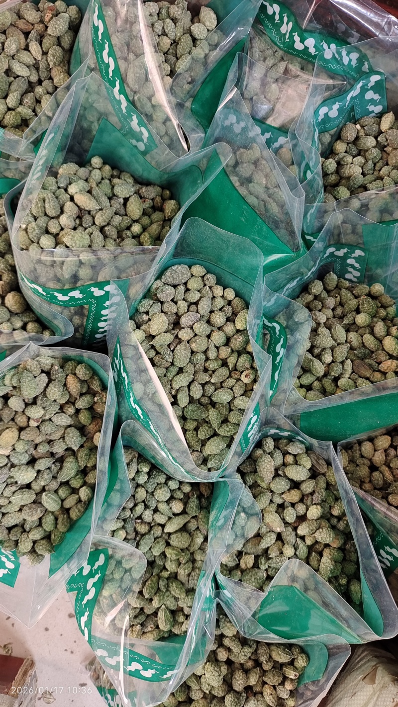 野西瓜冷背中药材2斤起包邮量大优惠