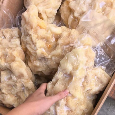 水发牛蹄筋