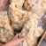 水发牛蹄筋