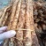 臭参（云南产精品大货，手指母一般粗，20斤起批包邮）