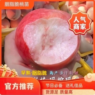 果园直发桃树苗新品种特早熟胭脂脆桃颜玉四号桃包对版成活率