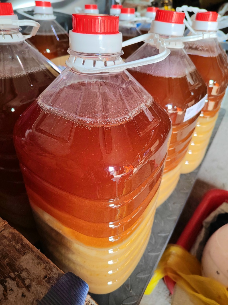 养殖基地批发纯蛇油，蛇油膏