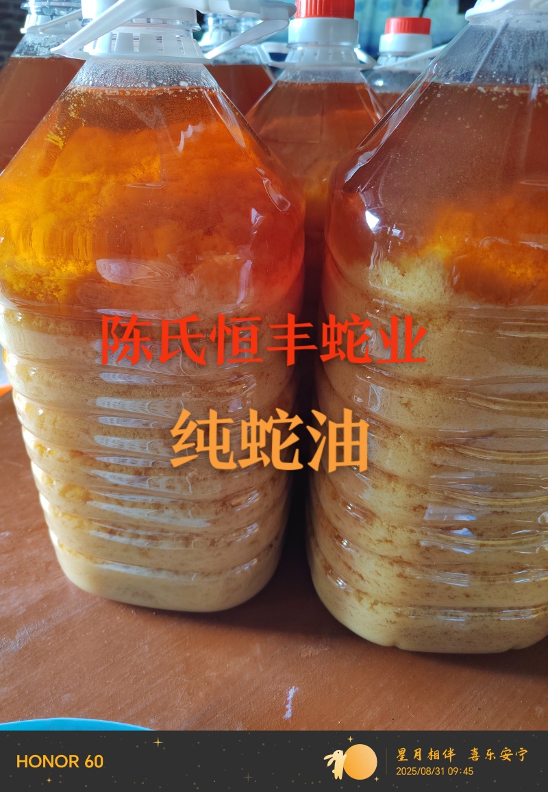 养殖基地批发纯蛇油，蛇油膏