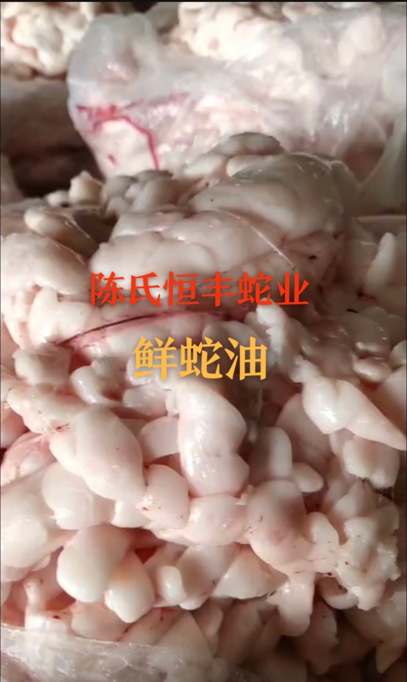 养殖基地批发纯蛇油，蛇油膏