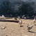 昭通大山包白花土鸡