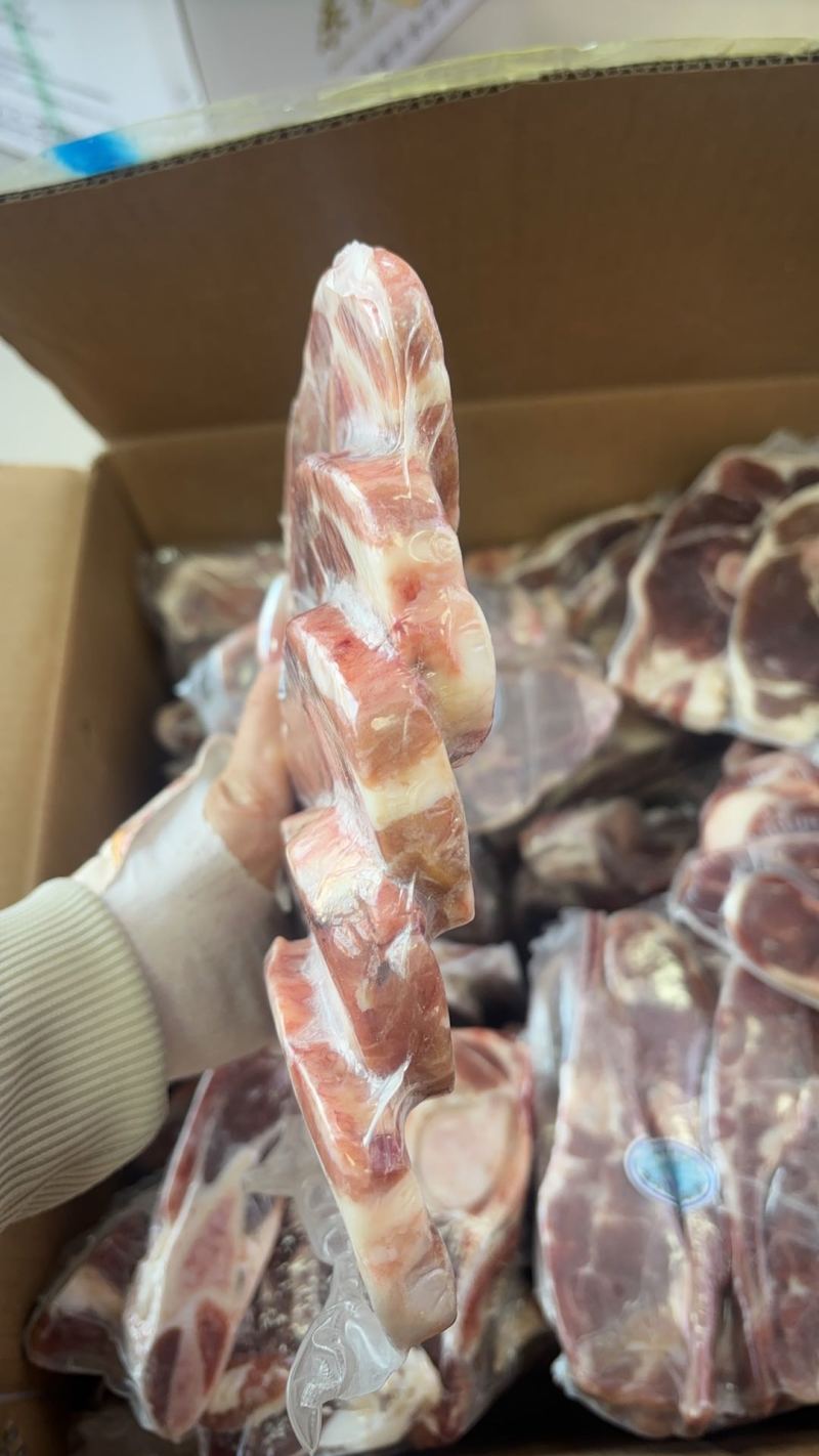东乡贡羊羊前腿