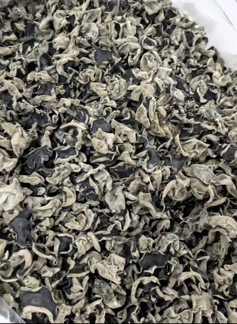 食用菌，黑木耳干货，秋木耳大量供应量大，从优规格齐全