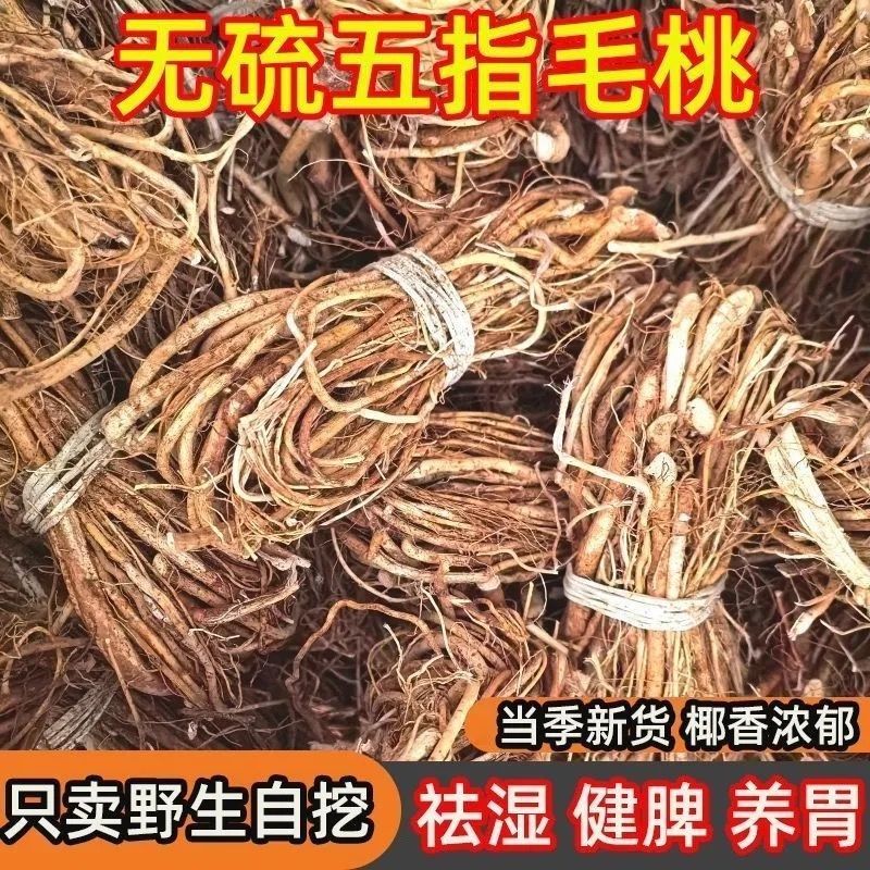 五指毛桃产地直供无硫干货煲汤祛湿全国发货