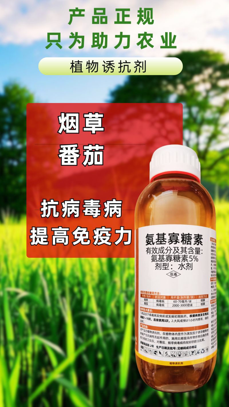 5%氨基寡糖素病毒病小叶花叶卷叶提高免疫力番茄烟草