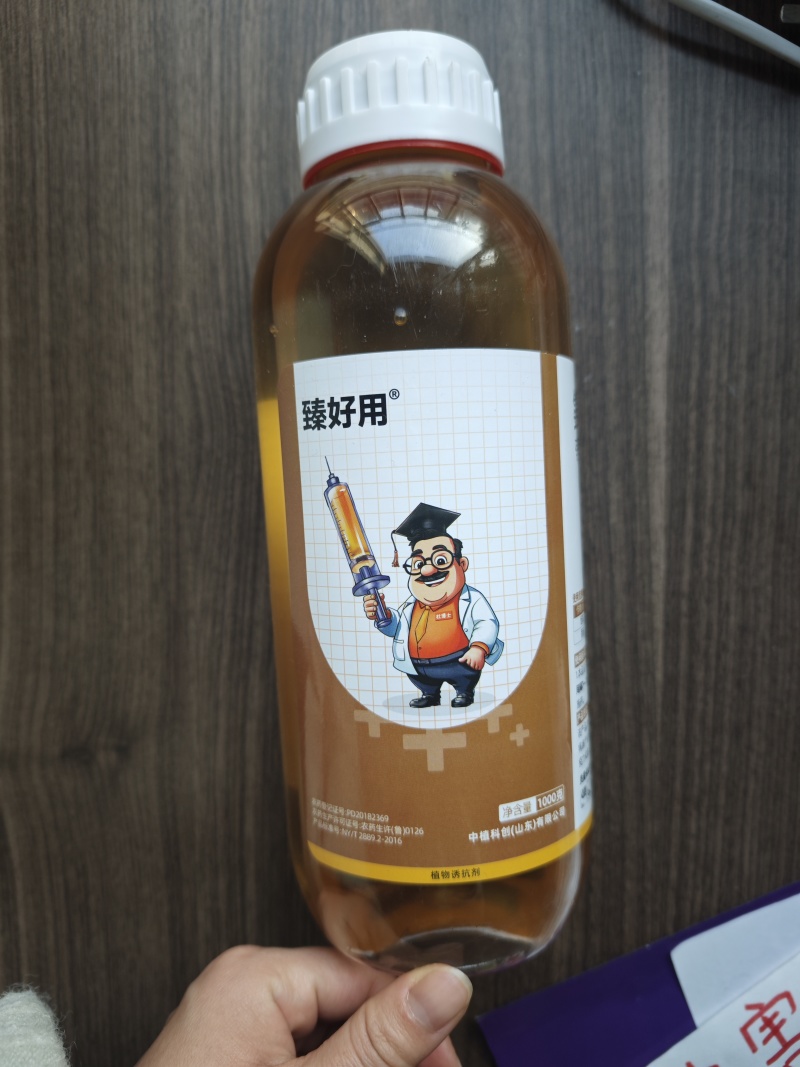 5%氨基寡糖素病毒病小叶花叶卷叶提高免疫力番茄烟草