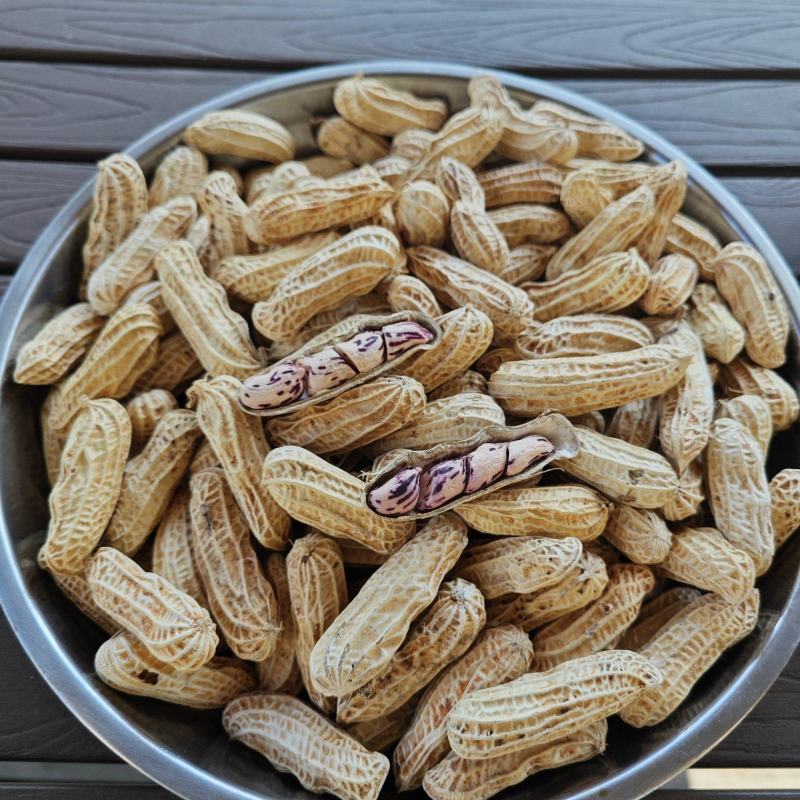 缅甸七彩花生货源充足量大从优对接全国欢迎咨询