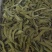 精品荷兰豆