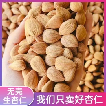 南杏仁甜杏仁去皮苦杏仁中药材打豆浆组合各种规格批发
