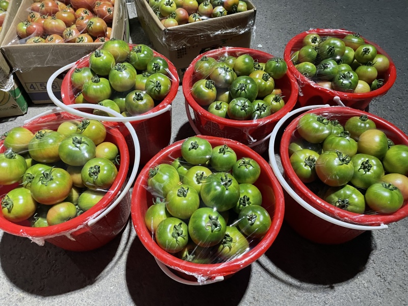 铁皮草莓柿子草莓西红柿供应市场商超电商