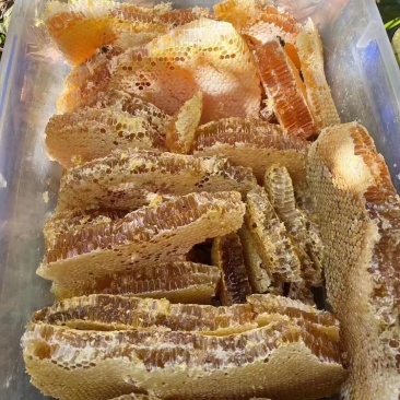 纯野生蜂蜜