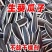 谷丰90葵花籽