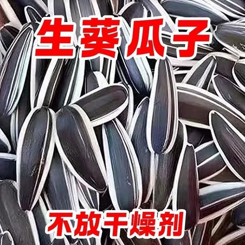 谷丰90葵花籽