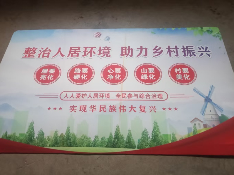 【质优】精品香柚专业实力代办货源充足大量供应精选
