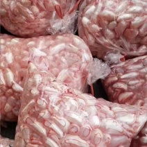 鱼杂