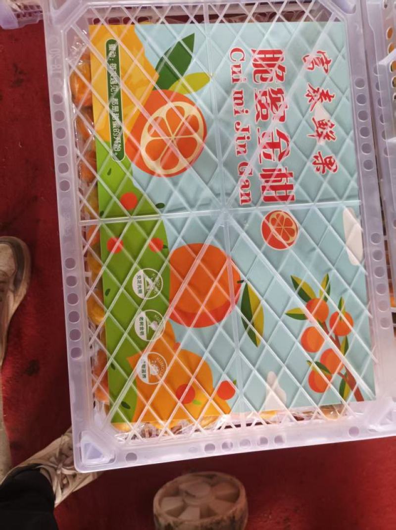 广西阳朔脆蜜金桔/果地直发/现采现发/市场精品/电商平台