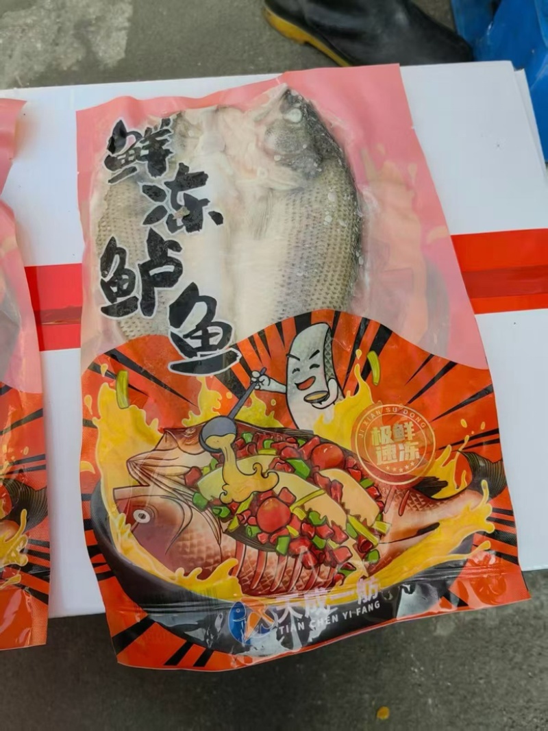 开背鲈鱼加州三去免处理淡水鲈鱼去鱼鳞去内脏去鱼鳃