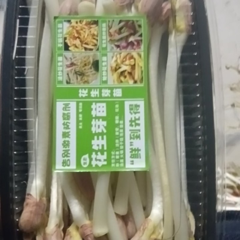 花生芽