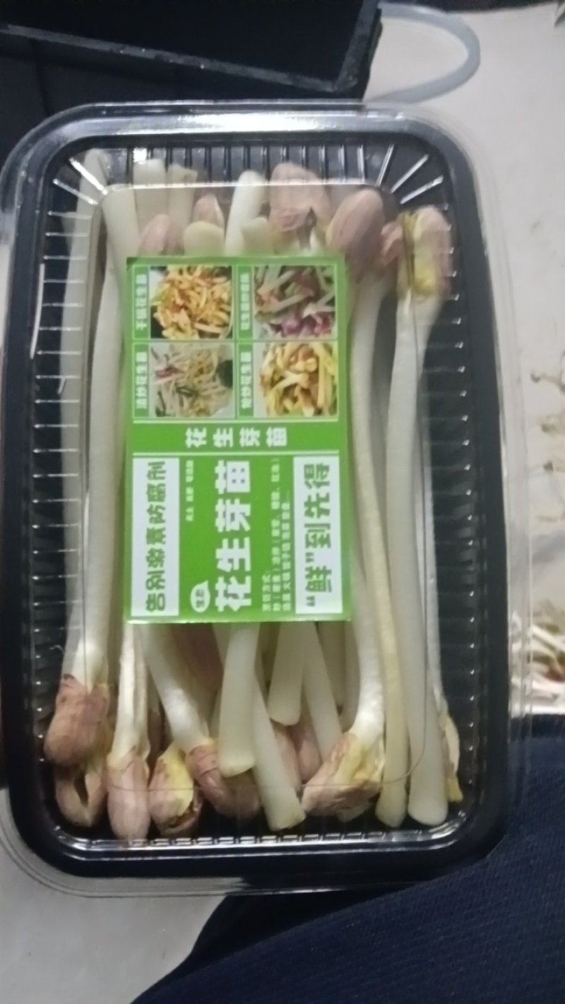 花生芽
