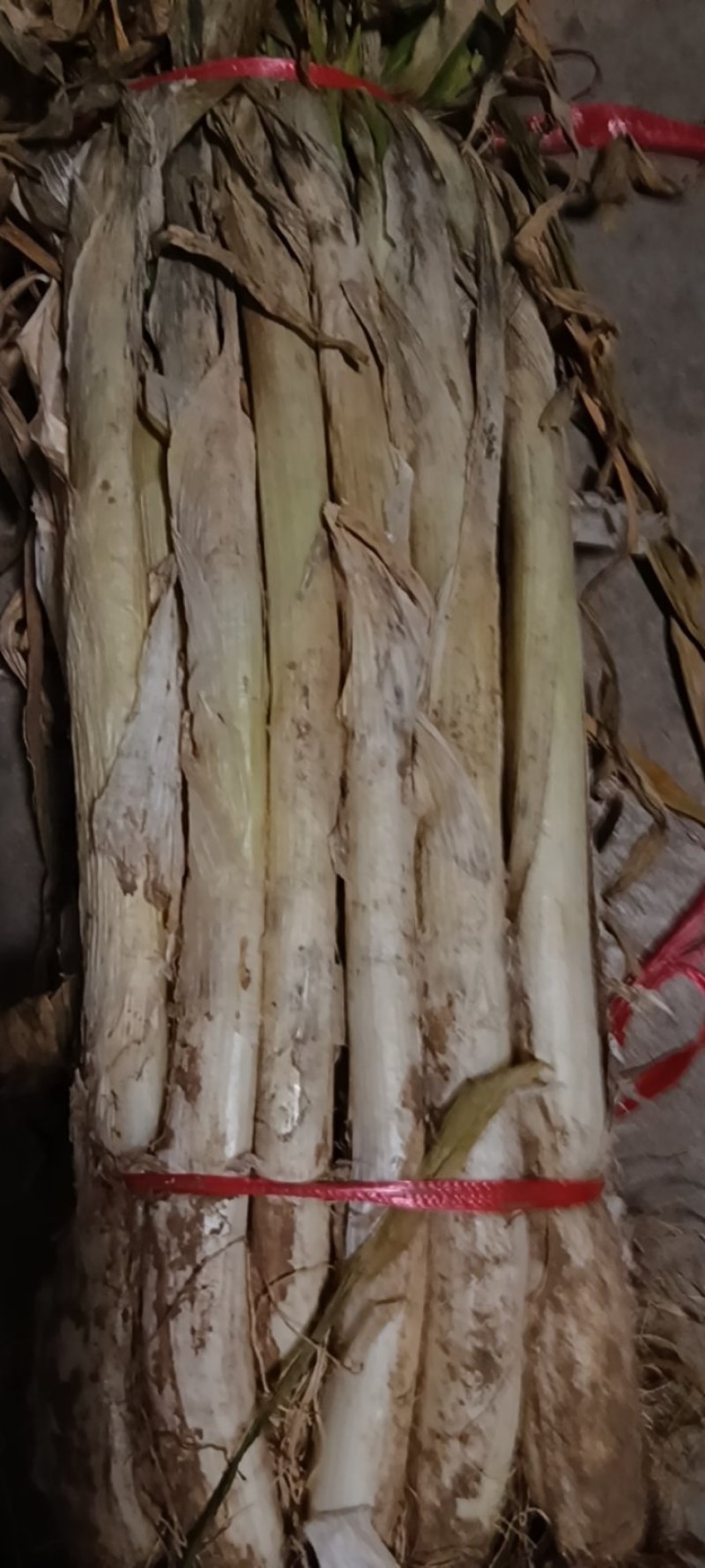 长白大葱