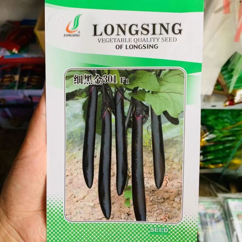 龙盛细黑金301F1茄子种子早熟杂交抗病高产细长条黑亮肉