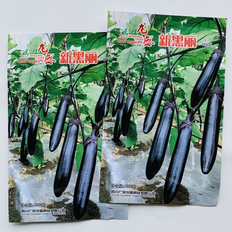 新黑丽茄子种子早熟杂交一代油黑长棒茄子种子油黑长条型茄子