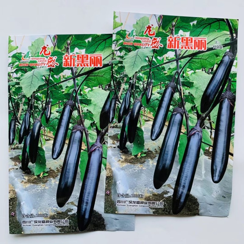 新黑丽茄子种子早熟杂交一代油黑长棒茄子种子油黑长条型茄子