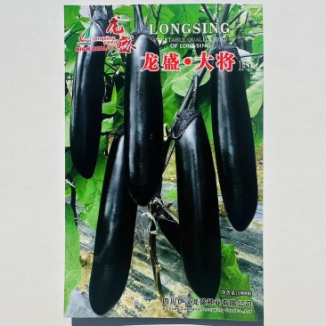龙盛大将长茄种子早熟粗棒顺直油黑亮绿黑茄子种子果肉淡绿烧