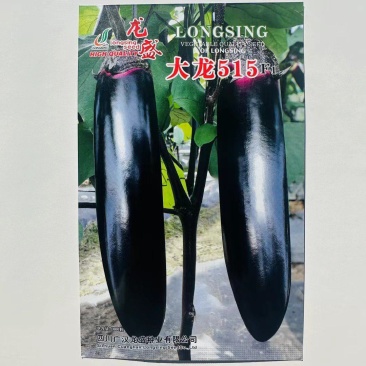 龙盛烧烤茄种子四川大龙515粗棒型茄子种子软糯清香好吃烧
