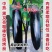 龙盛烧烤茄种子四川大龙515粗棒型茄子种子软糯清香好吃烧