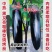 龙盛烧烤茄种子四川大龙515粗棒型茄子种子软糯清香好吃烧