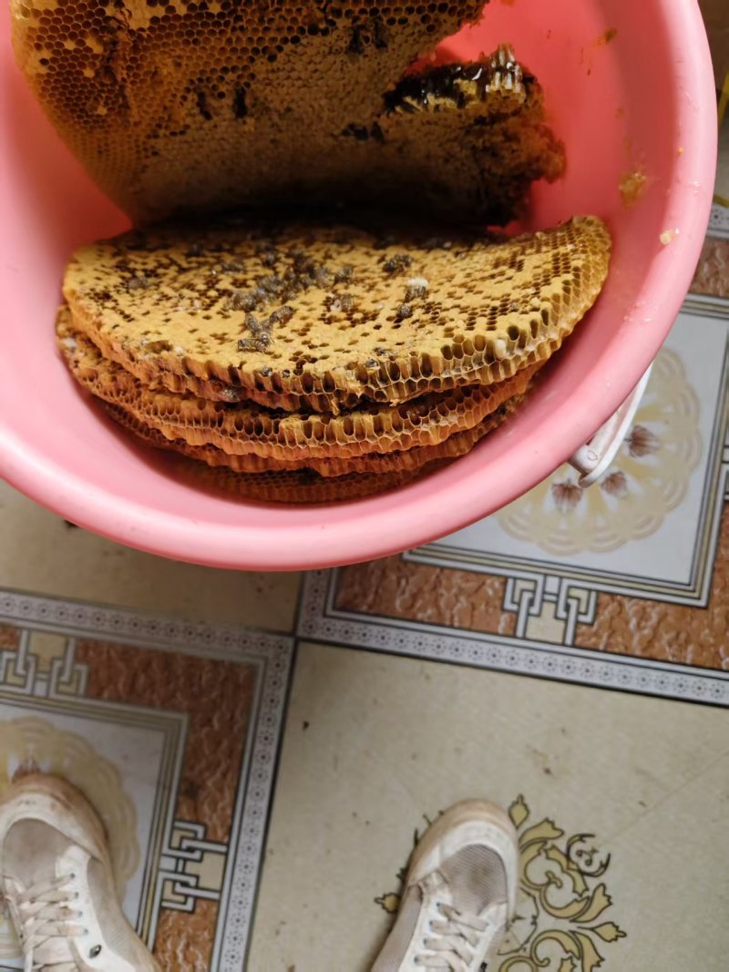 土蜂蜜