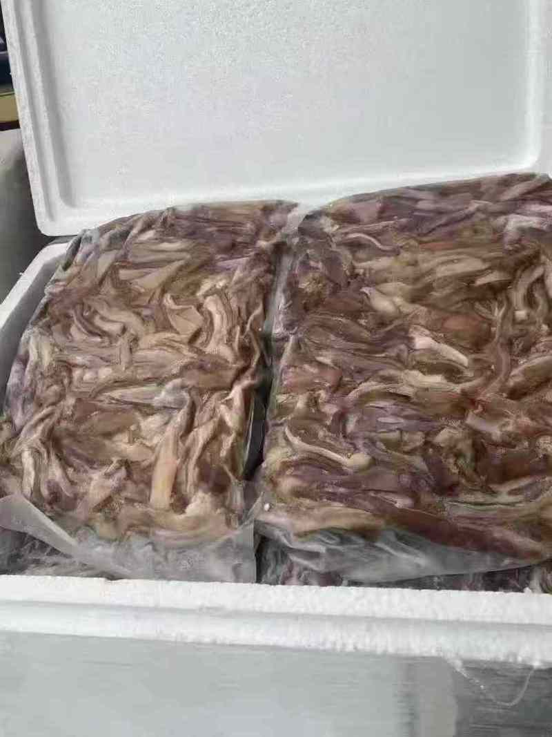 猪肚猪肚条肚条猪肚条白水肚条肚丝熟肚条摆摊商用