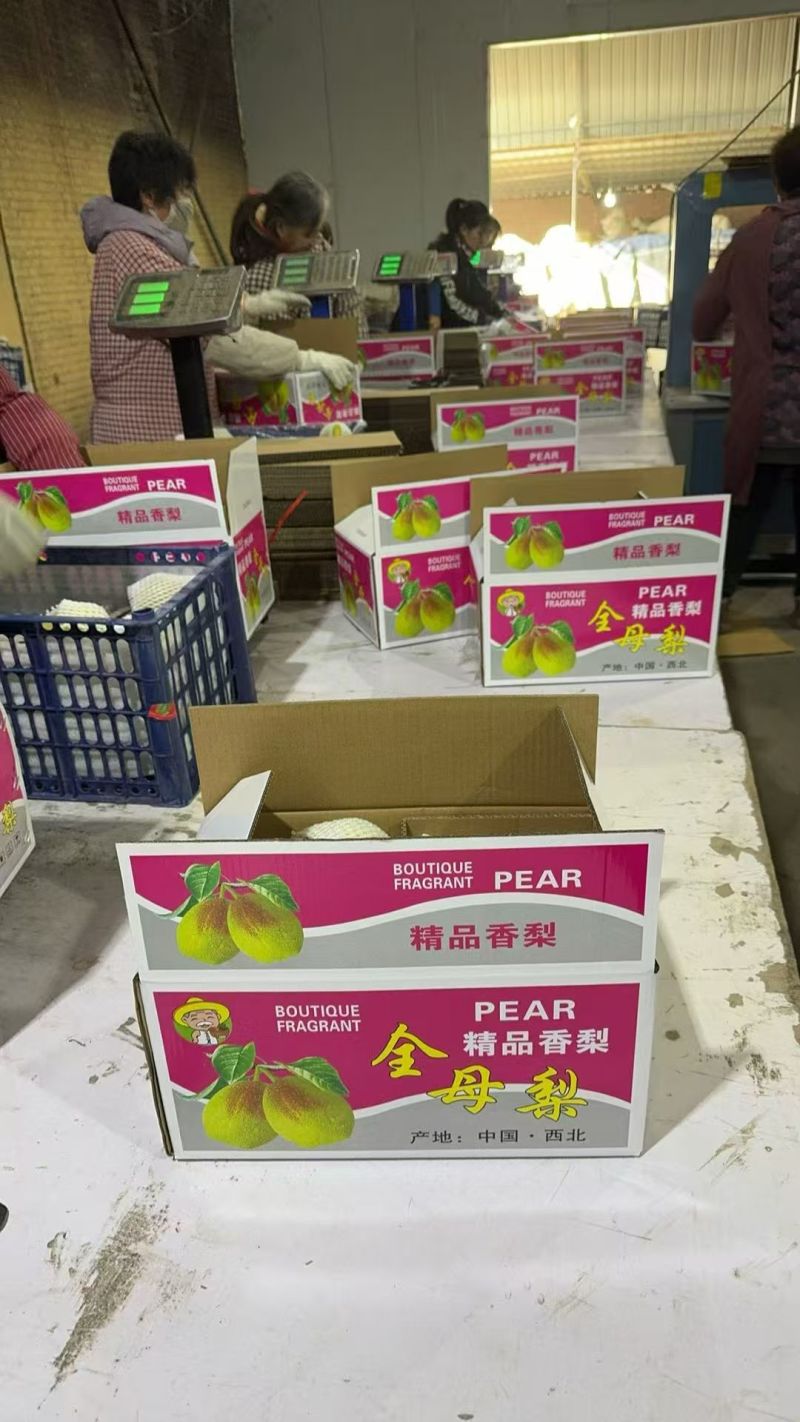 香梨礼盒，库尔勒香梨，河北香酥，礼盒，各种型号包装齐全