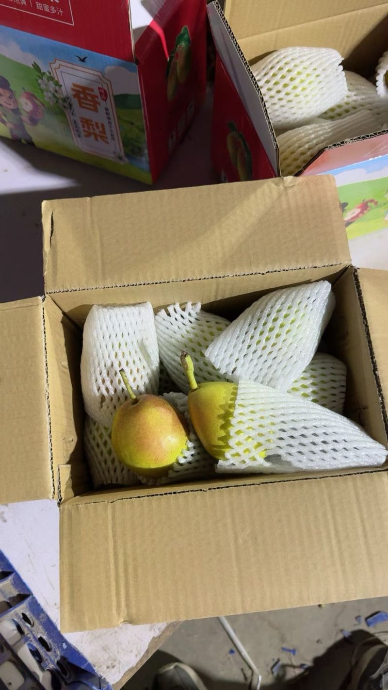 香梨礼盒，库尔勒香梨，河北香酥，礼盒，各种型号包装齐全