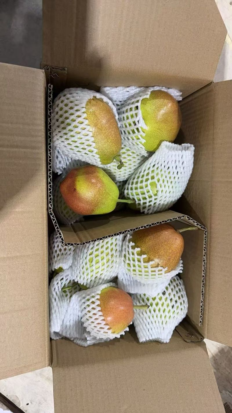 库尔勒香梨，香梨礼盒，河北香梨，产地一手货源，质量保证