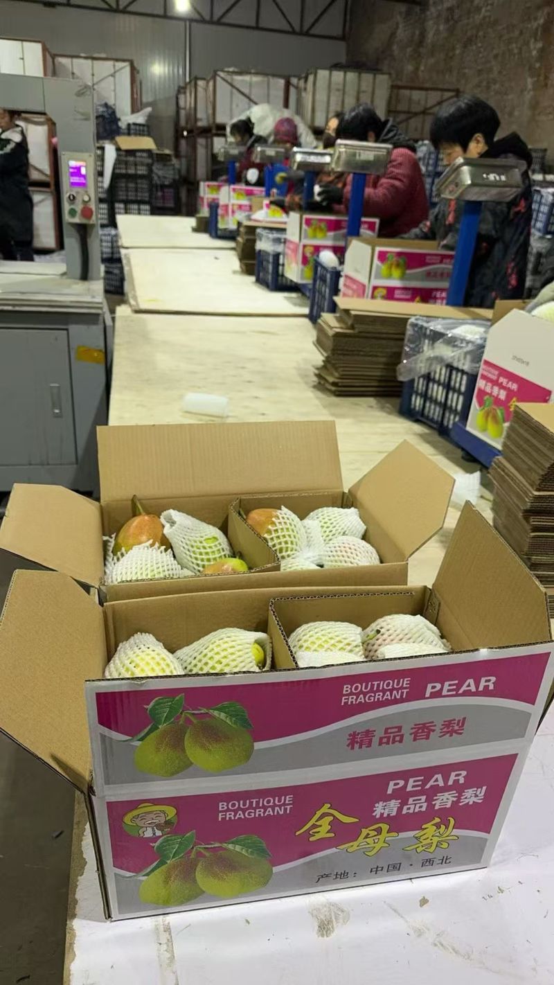 库尔勒香梨，香梨礼盒，河北香梨，产地一手货源，质量保证