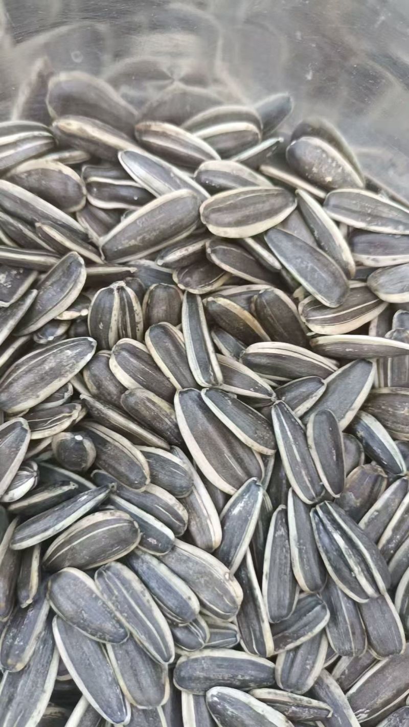 葵花籽大量现货价格优惠